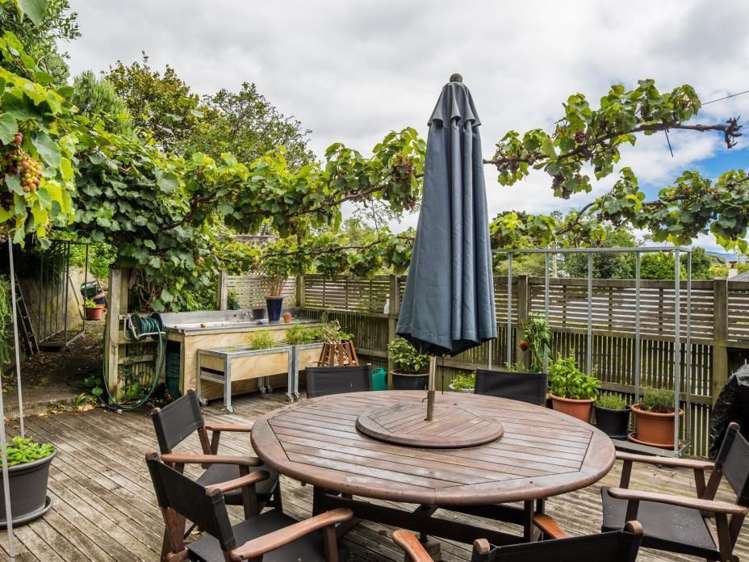 22 Nikau Street Eastbourne_14