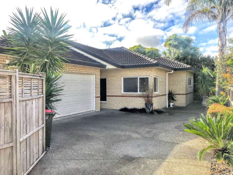 8a Peet Avenue Royal Oak_0