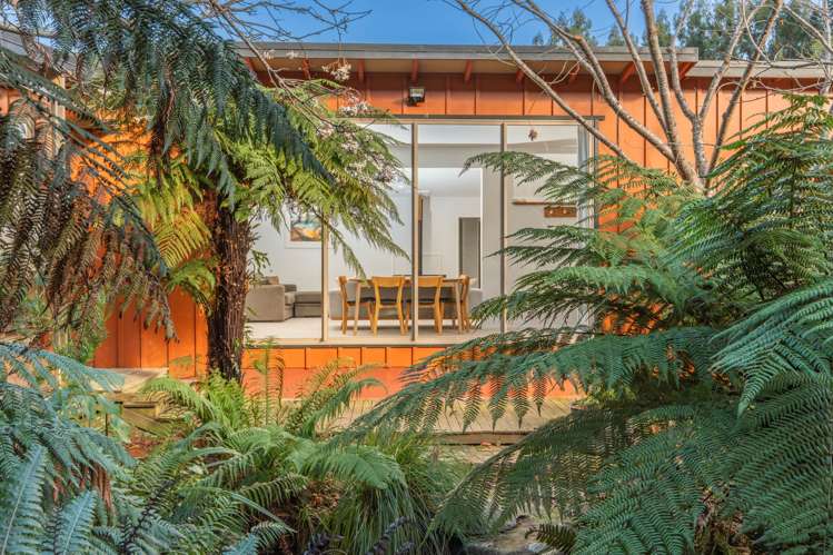38 Patmos Avenue Woodhaugh_33