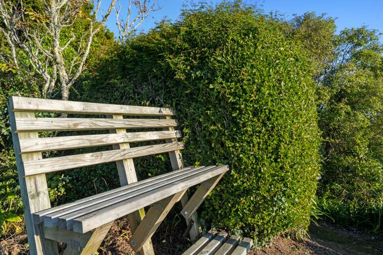 704 Mangorei Road Mangorei_15