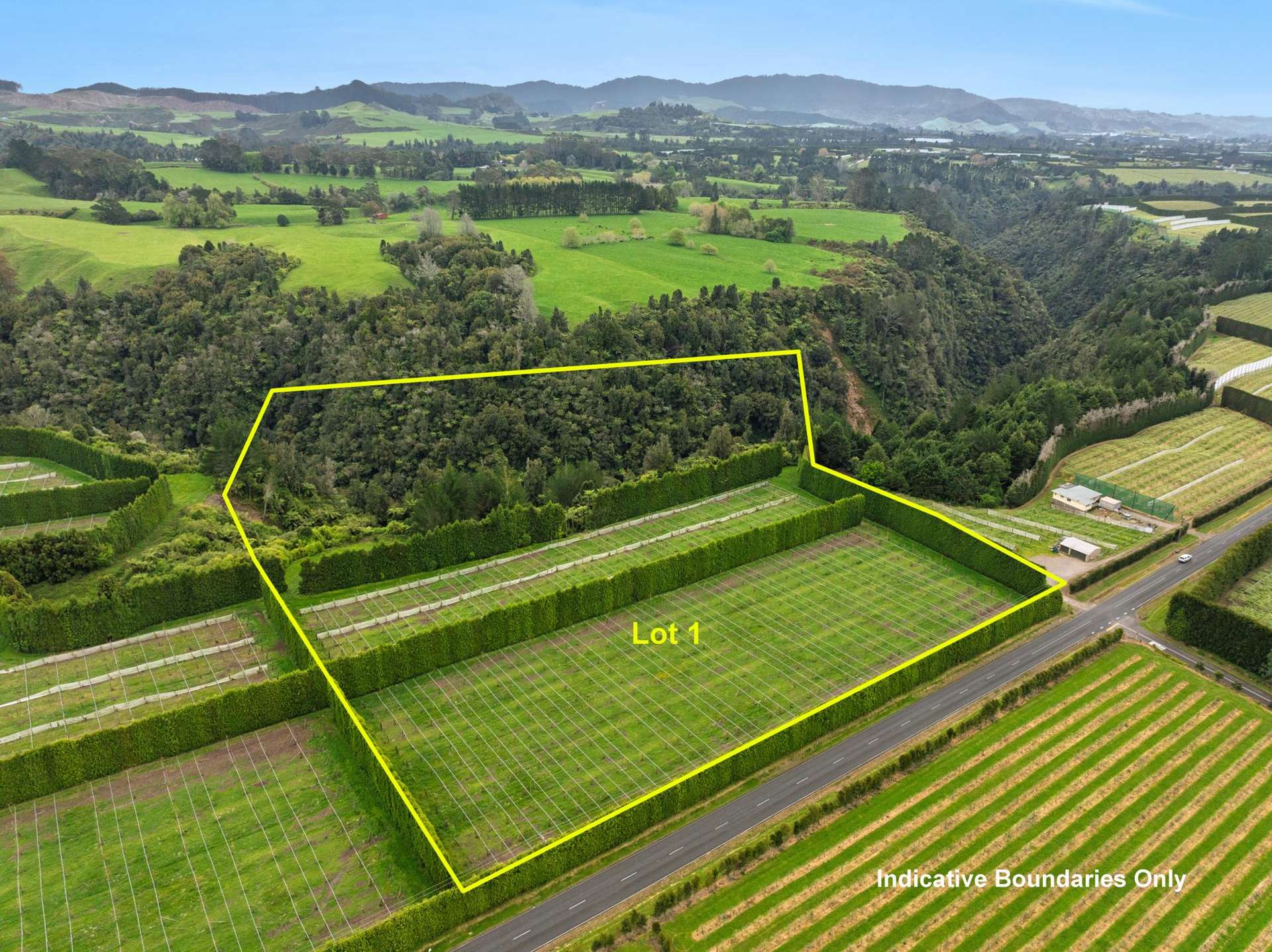 Lot 1/1010 Te Matai Road Te Ranga_0