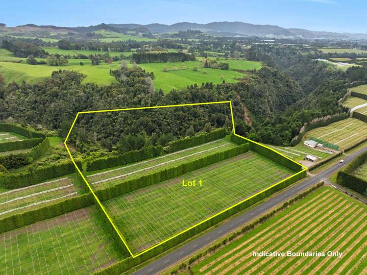 Lot 1/1010 Te Matai Road_0