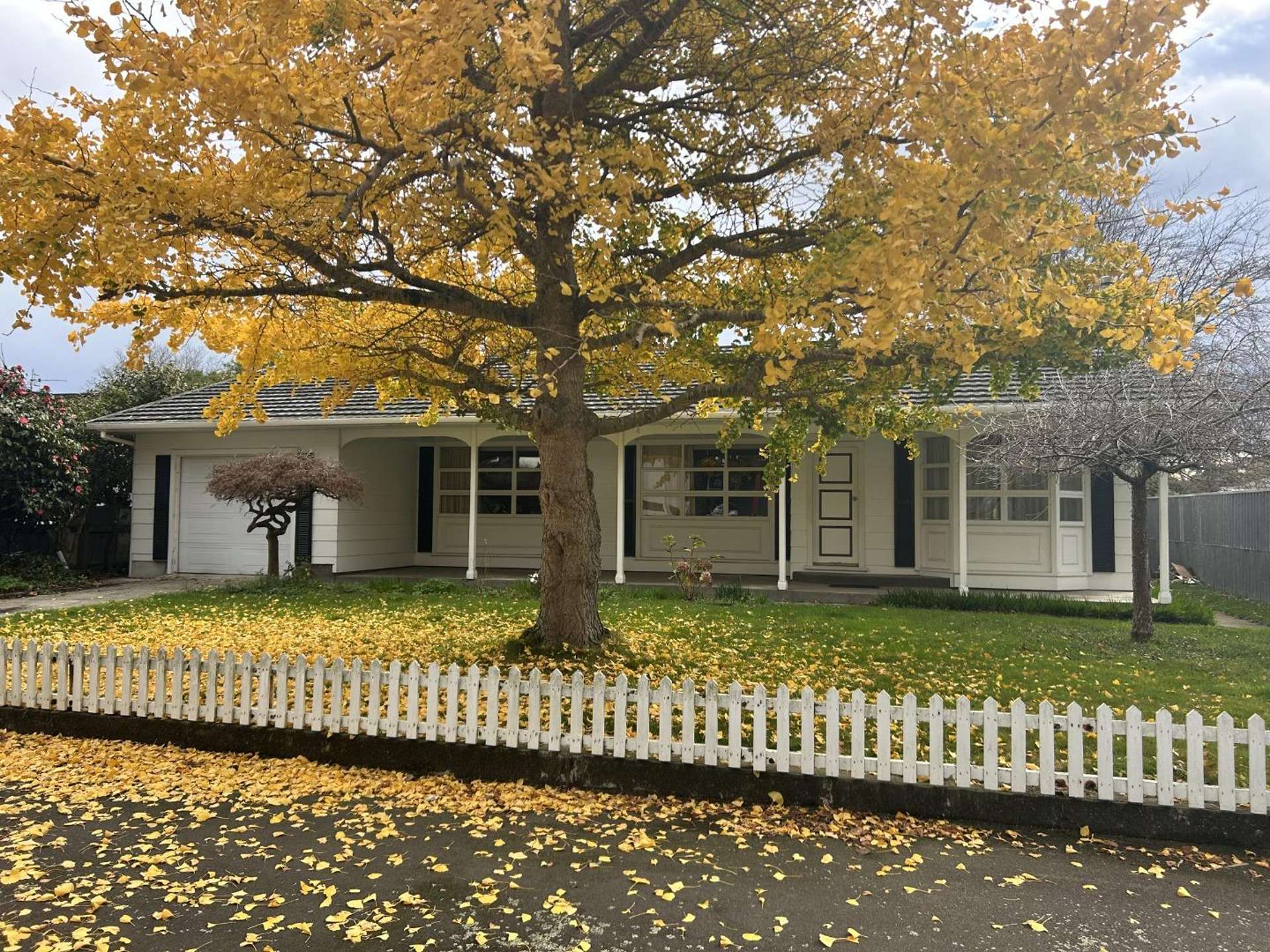 174 Main Street 11185_0