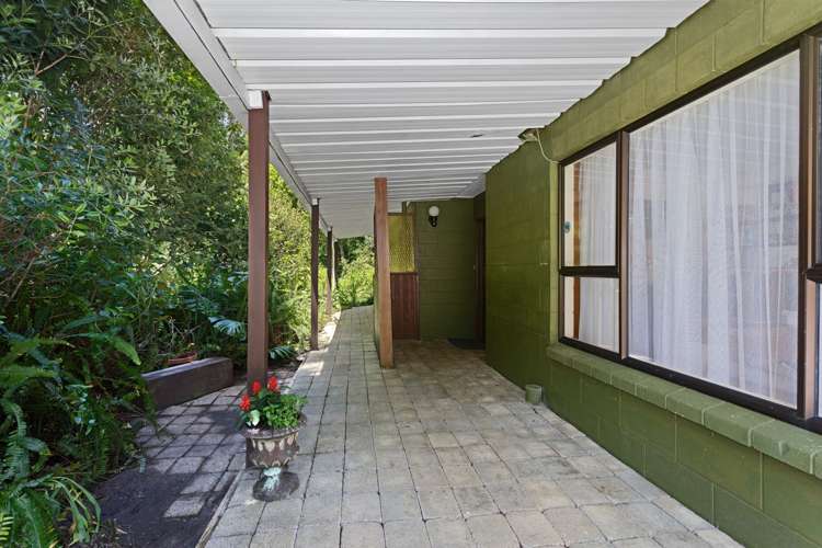 1 Bridger Glade Whakatane_9