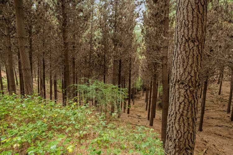 State Highway 63 Renwick_10