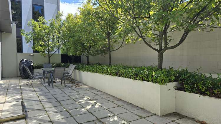 Tenancy 1/40 Selwyn Street Tauranga Central_7