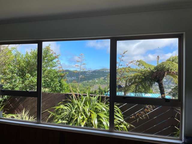 10A Kilsyth Street Karori_4