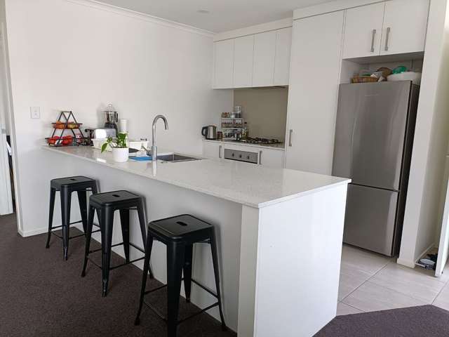 9/3 North Ridge Drive Rototuna North_2