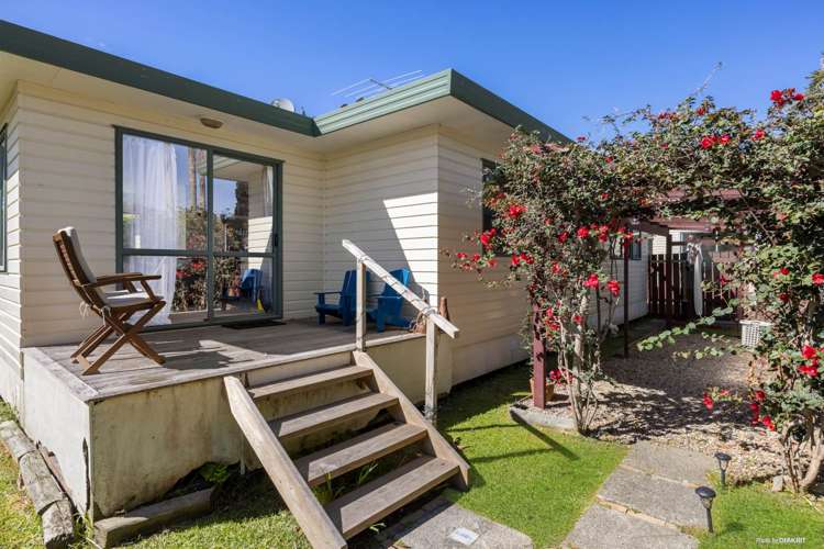 2 Francis Skinner Orewa_14