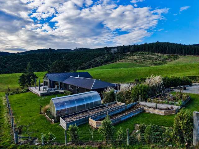 127 Bell Road Dipton_4