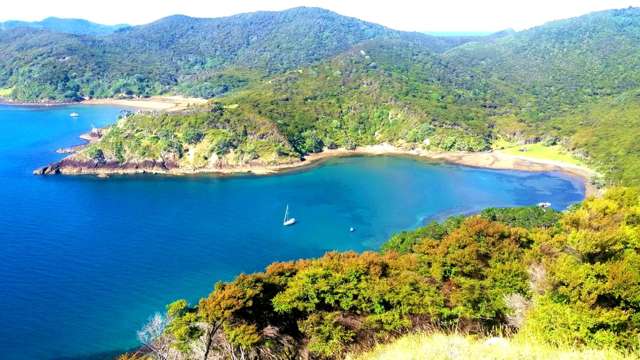 123 Allom Bay Great Barrier Island_2