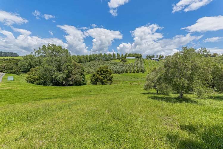 27 Poplar Glade Mangawhai Heads_18
