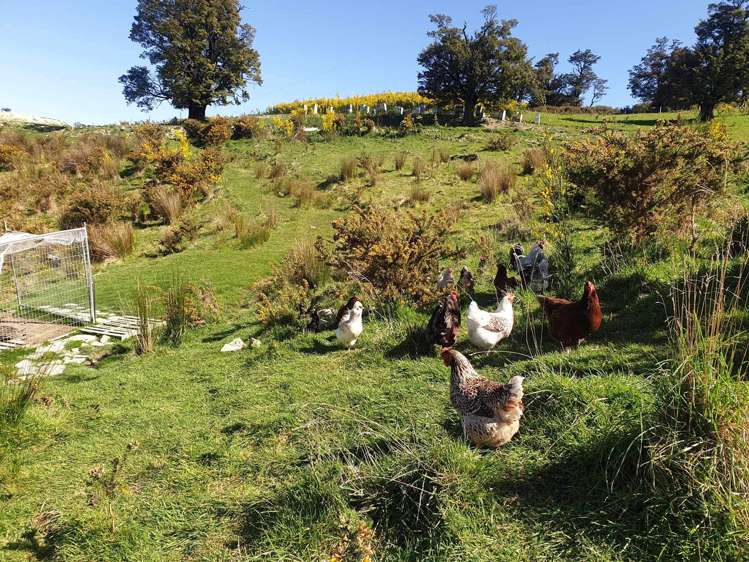 759 Bay Road Oxford_19