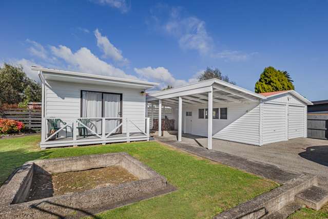 100 Weraroa Road Levin_1