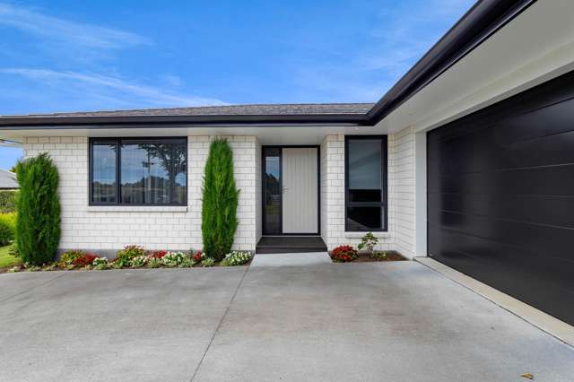 397A Tukapa Street Hurdon_3