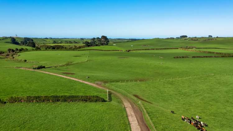 256 Lower Stuart Road Eltham_4