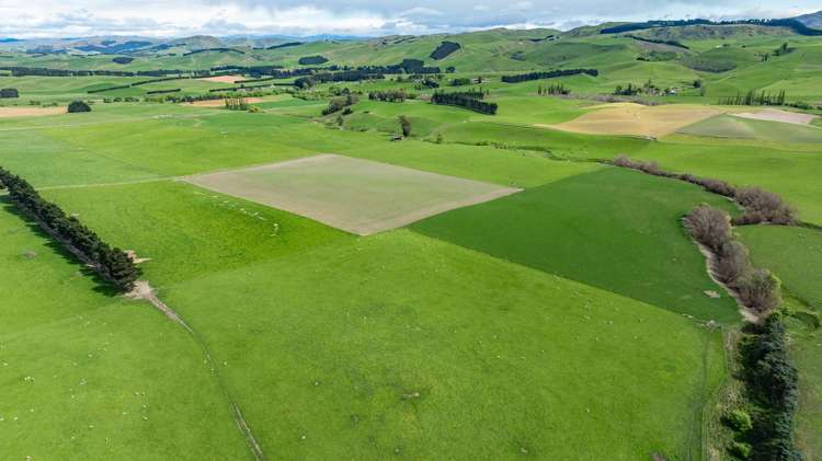 1443 Omihi Road Omihi_20