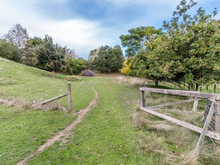 134 Kopanga Road Havelock North_46