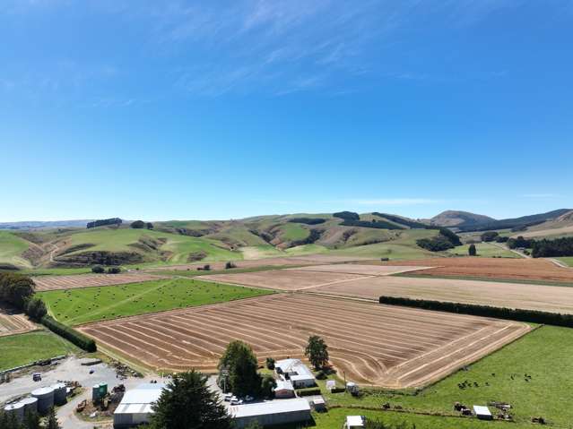 381 Sims Road West Otago Surrounds_3