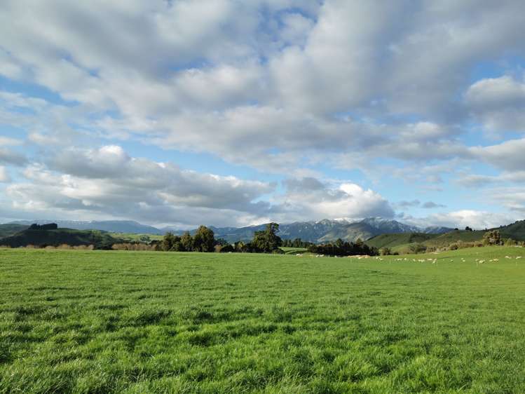 2/230 Clyde Road Burnside_10