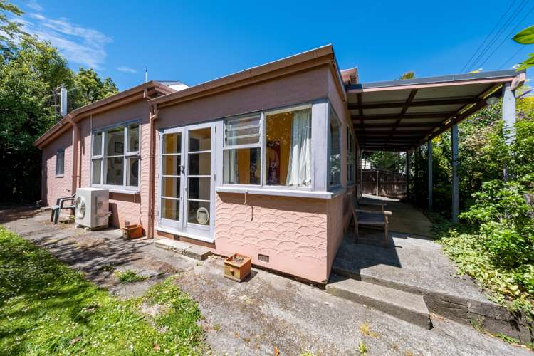 10 Shelley Street Sydenham_18