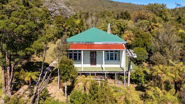 16 Napier Street Millerton_1