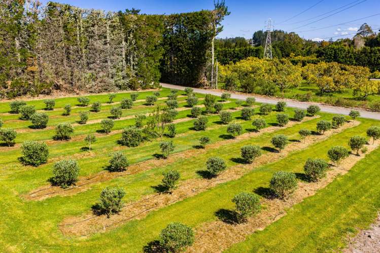 179 Pukeatua Road Maungatapere_17