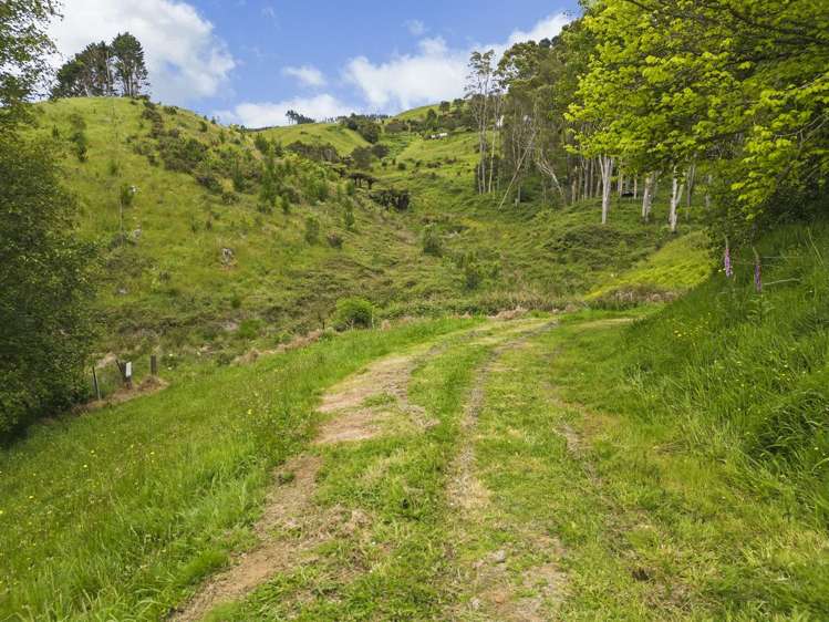 127A Otonga Valley Road Raglan_23