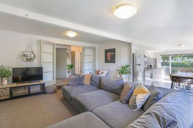 167 Thomson Street Tinwald_2