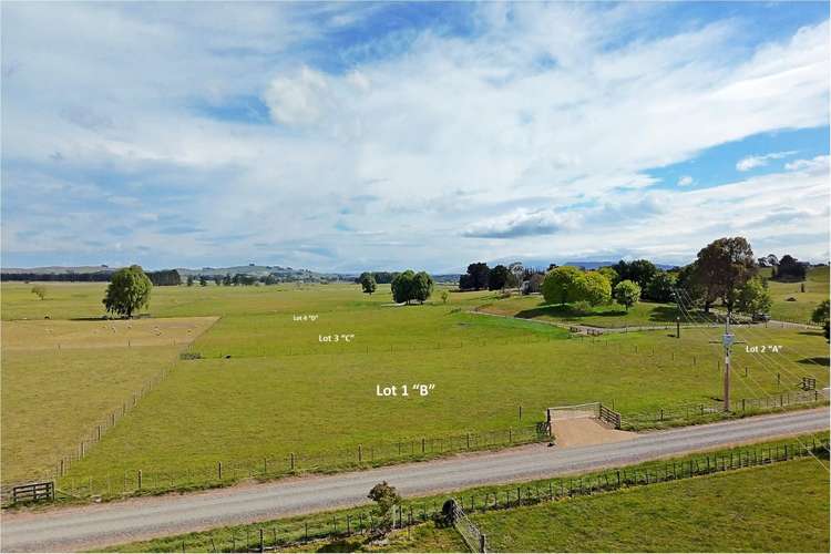 96A, B, C, D Farm Road Waipukurau_7