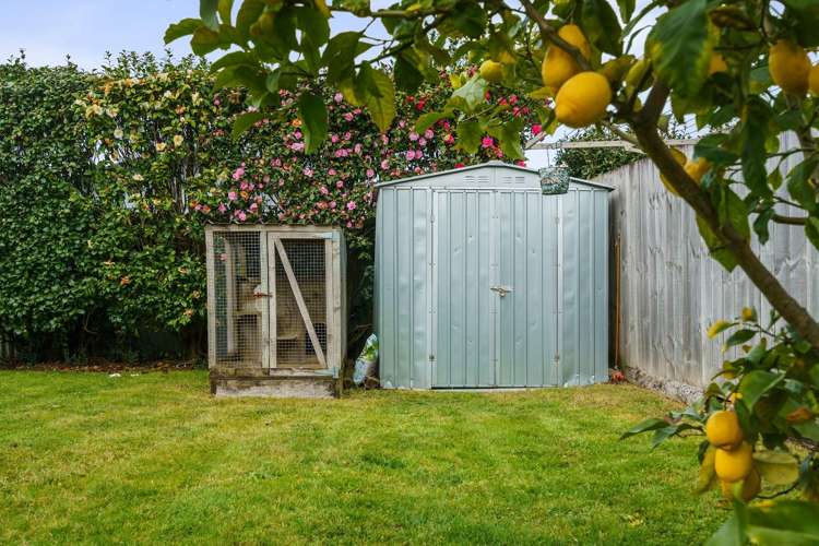 9 Ballance Street Kihikihi_16