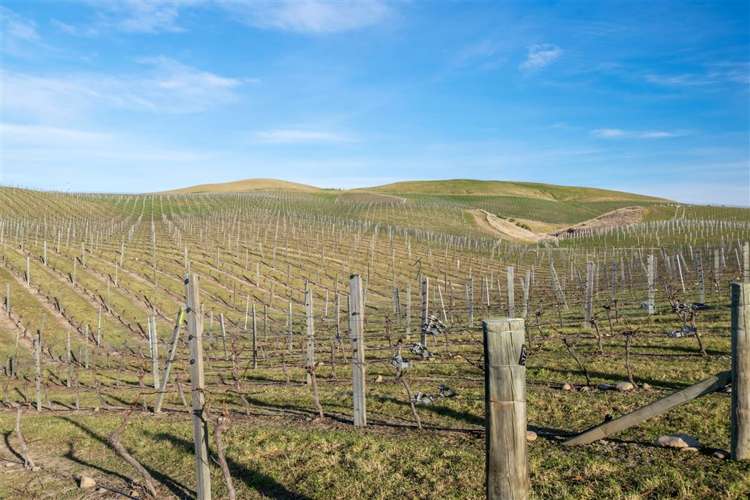 5468 State Highway 1 Seddon_24