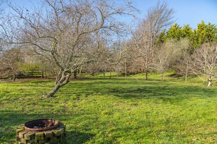 61 Udy Street Greytown_32