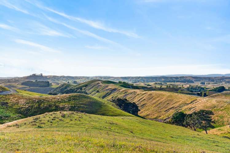 Lot Lot 1/1270 Taihape Road Sherenden_7
