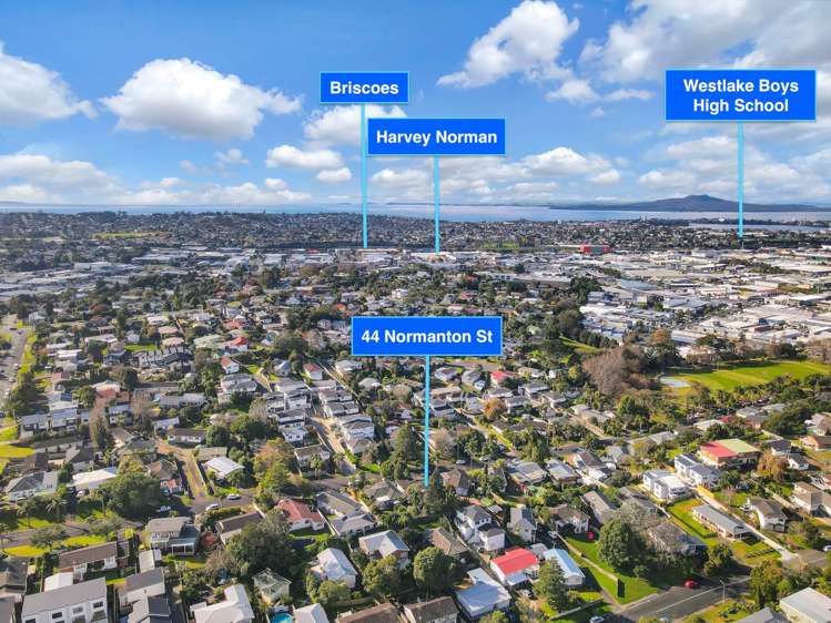 44 Normanton Street Glenfield_15