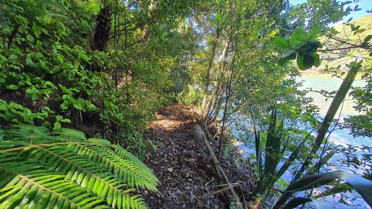Lot 138/DP4961 North Cove Kawau Island_6