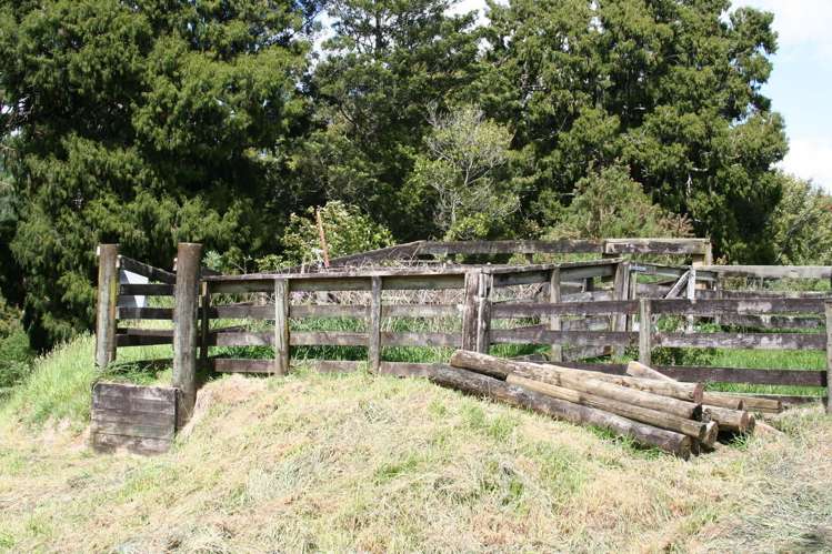 239c Waitawheta Road Waikino_15