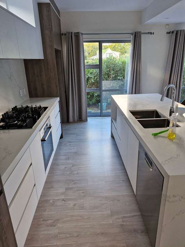 60C Pah Road Epsom_3