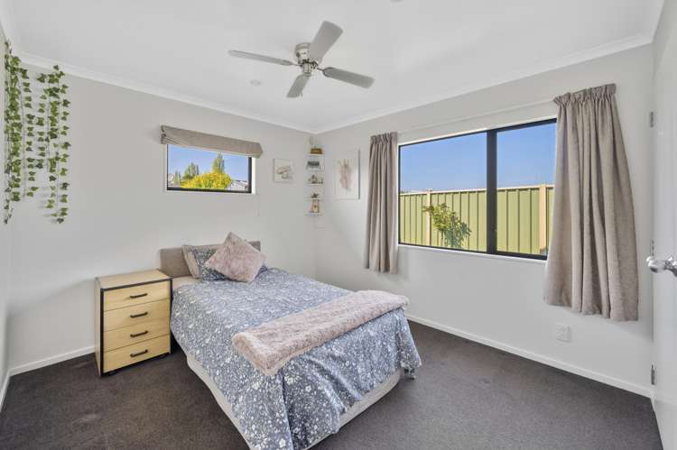 270 Guppy Road Taradale_10