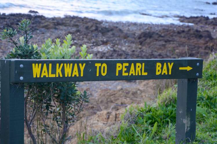 116/118/120 Hunterville Road Waiheke Island_9