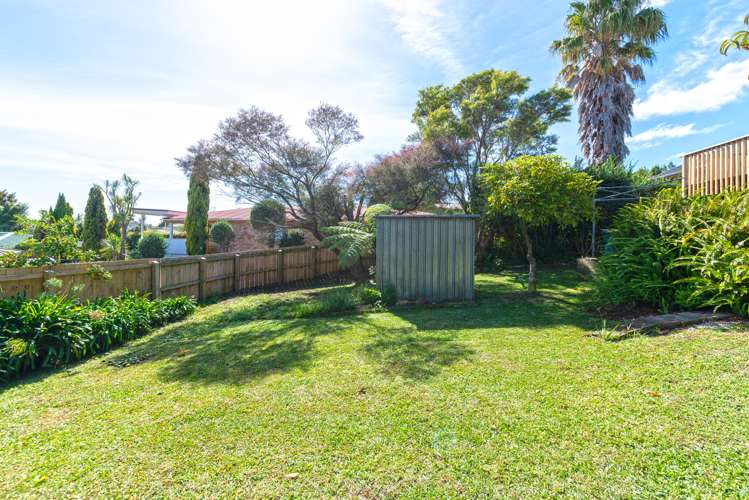 97 Hutchinson Avenue New Lynn_17