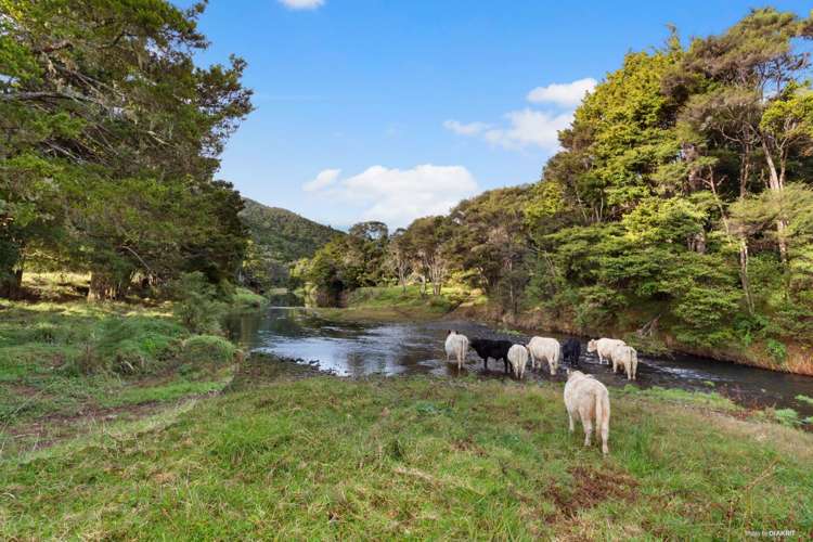 632 Sawyer Road Mangonui_18