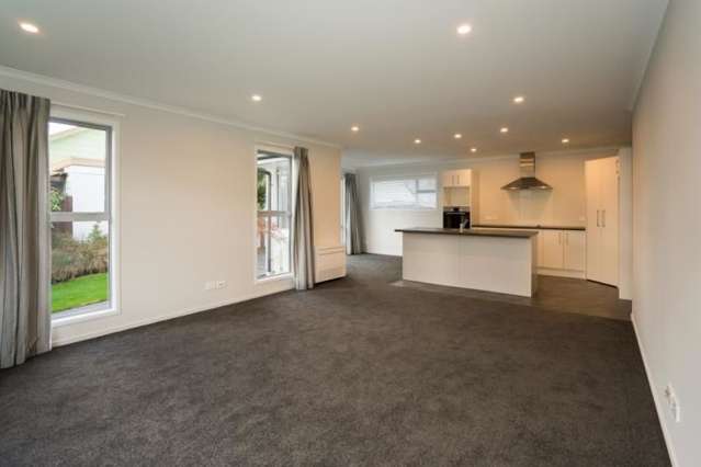 1/4 Payling Lane Mairehau_2