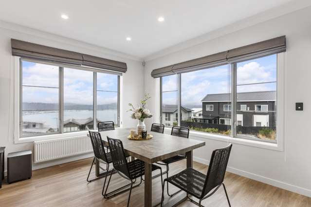 22 Domett Street Newlands_4