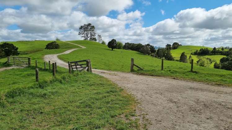 Taylor Road Mangapai and Surrounds_8