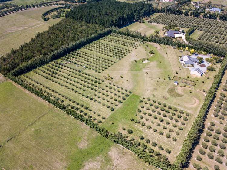 57 Alessio Lane Swannanoa_28