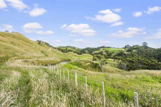 2368 Wairamarama Onewhero Road Glen Murray_3