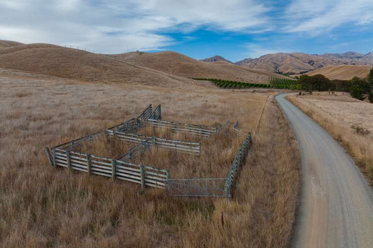 109 Haldons Road Seddon_19