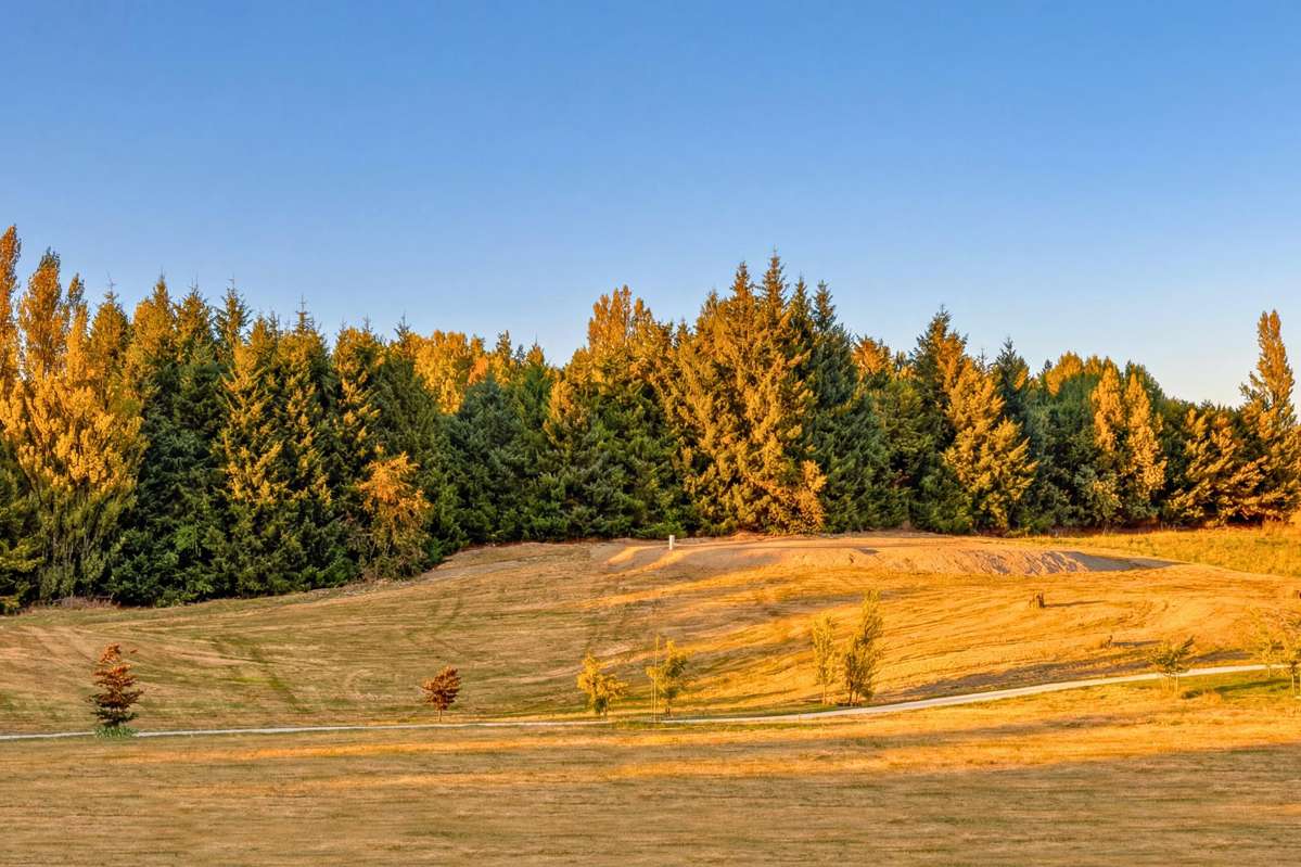 26 Fitzpatrick Road_1