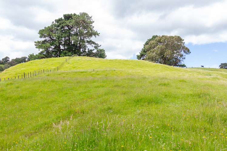 111 Knight Road Kopuaranga_18